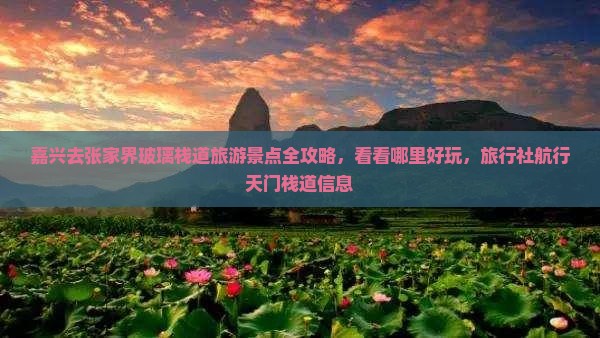 嘉兴去张家界玻璃栈道旅游景点全攻略，看看哪里好玩，旅行社航行天门栈道信息