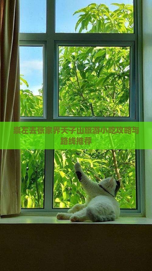 崇左去张家界天子山旅游小吃攻略与路线推荐