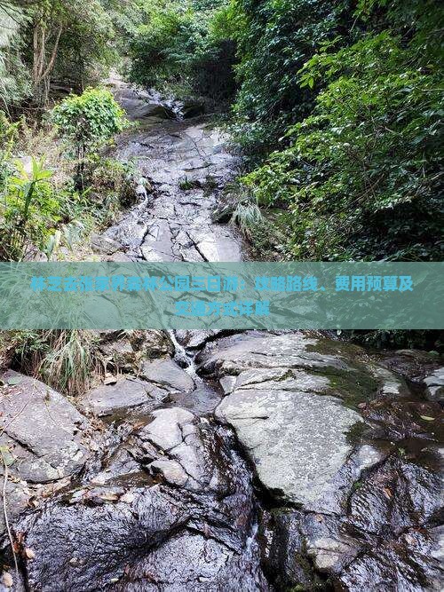 林芝去张家界森林公园三日游：攻略路线、费用预算及交通方式详解