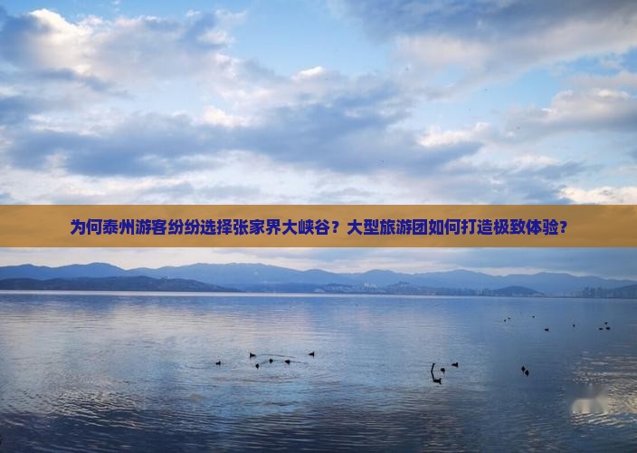 为何泰州游客纷纷选择张家界大峡谷？大型旅游团如何打造极致体验？