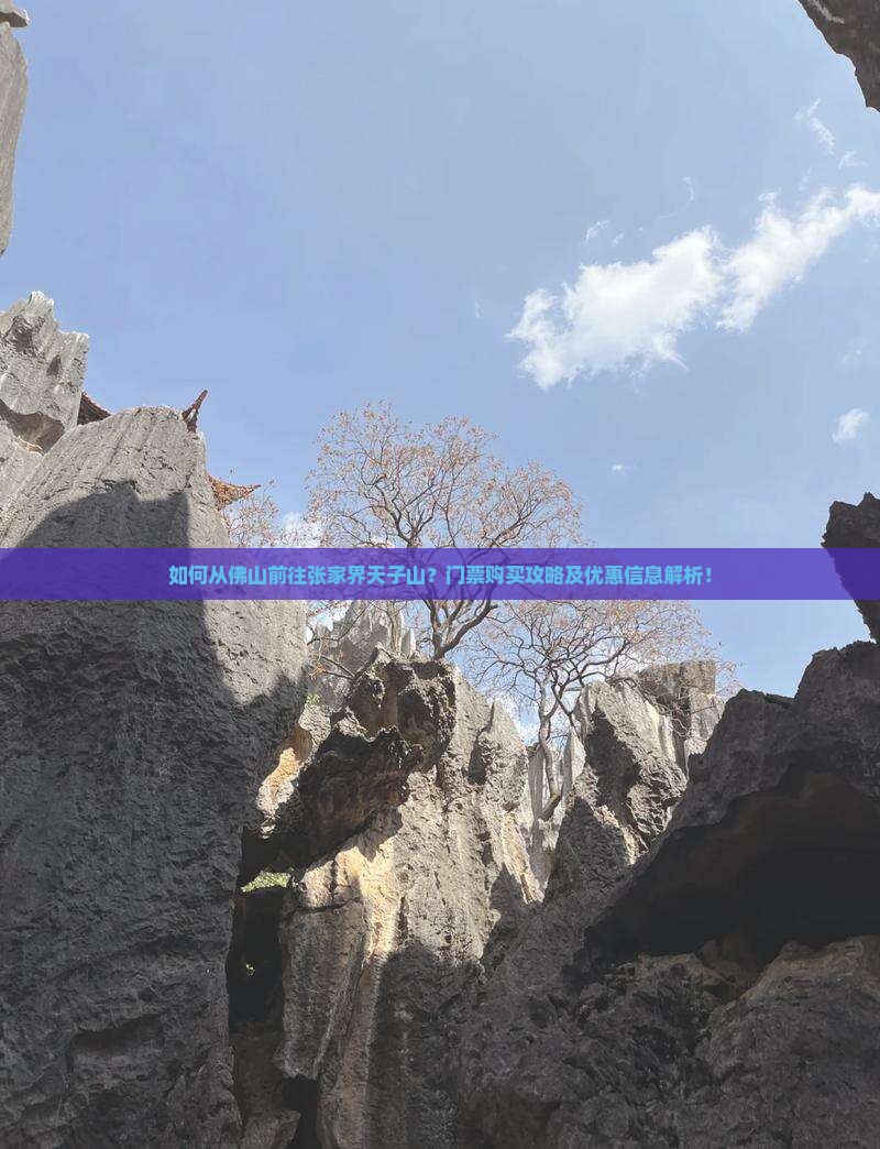 如何从佛山前往张家界天子山？门票购买攻略及优惠信息解析！