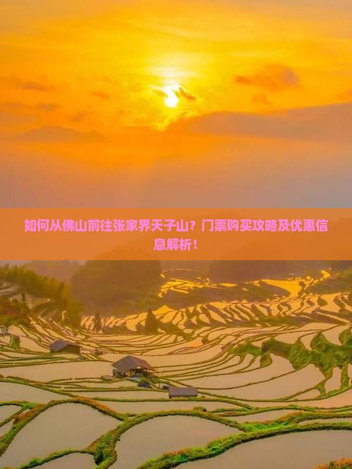如何从佛山前往张家界天子山？门票购买攻略及优惠信息解析！
