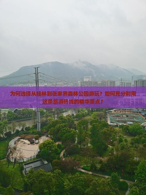 为何选择从桂林到张家界森林公园游玩？如何充分利用这条旅游热线的精华景点？