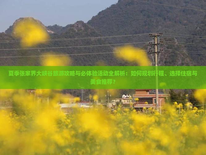 夏季张家界大峡谷旅游攻略与必体验活动全解析：如何规划行程、选择住宿与美食推荐？