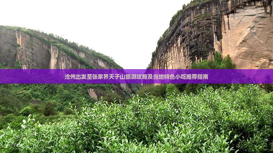 沧州出发至张家界天子山旅游攻略及当地特色小吃推荐指南
