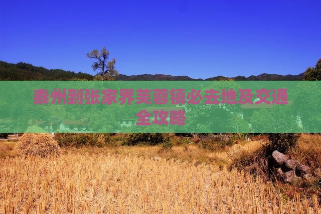 泰州到张家界芙蓉镇必去地及交通全攻略