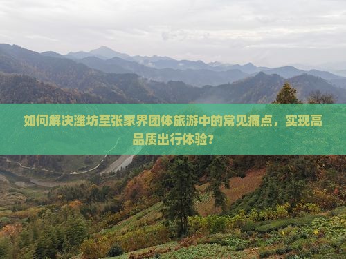 如何解决潍坊至张家界团体旅游中的常见痛点，实现高品质出行体验？