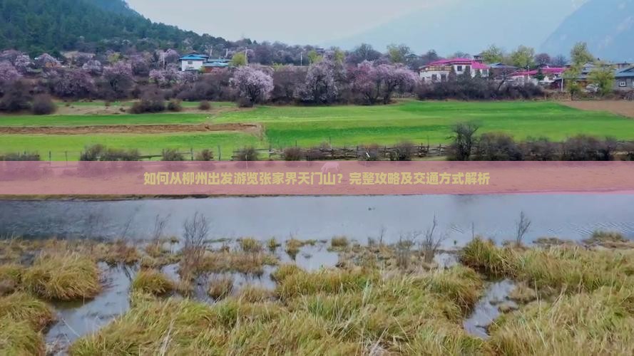 如何从柳州出发游览张家界天门山？完整攻略及交通方式解析
