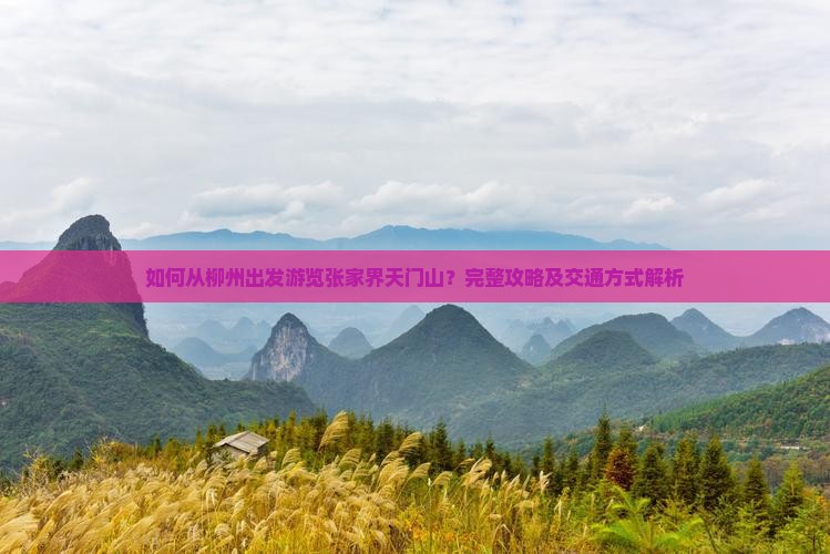 如何从柳州出发游览张家界天门山？完整攻略及交通方式解析