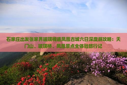 石家庄出发张家界玻璃栈道凤凰古城六日深度游攻略：天门山、玻璃桥、凤凰景点全体验旅行记
