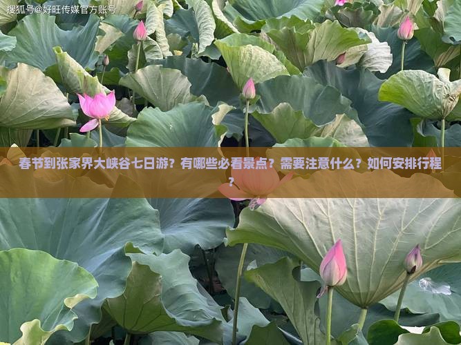 春节到张家界大峡谷七日游？有哪些必看景点？需要注意什么？如何安排行程？