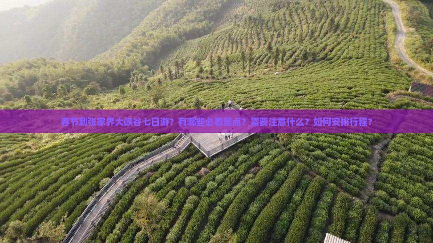 春节到张家界大峡谷七日游？有哪些必看景点？需要注意什么？如何安排行程？