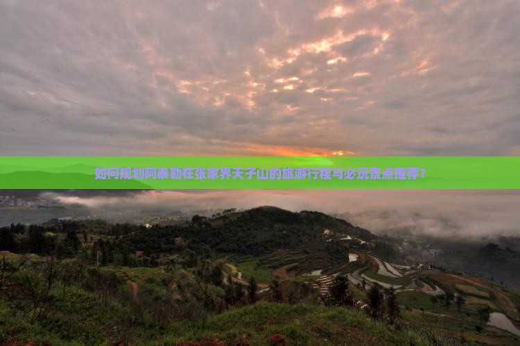 如何规划阿泰勒在张家界天子山的旅游行程与必玩景点推荐？