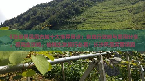 《张家界凤凰古城十大推荐景点：自由行攻略与费用分享，看完全攻略，仙桃出发旅行必看！长沙凤凰芙蓉镇路线详解》
