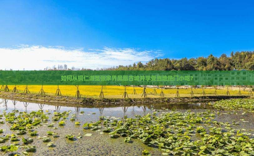如何从铜仁游览张家界凤凰古城并享受当地热门小吃？