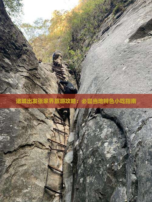 诸城出发张家界旅游攻略：必尝当地特色小吃指南