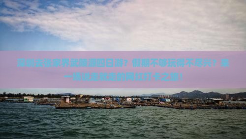 深圳去张家界武陵源四日游？假期不够玩得不尽兴？来一场说走就走的网红打卡之旅！