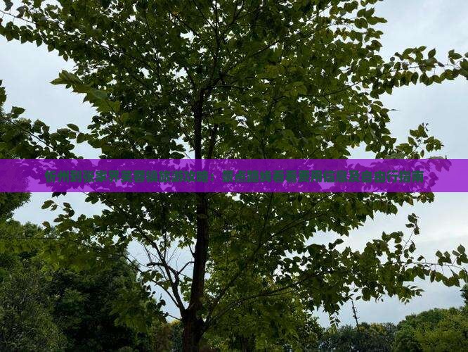 忻州到张家界芙蓉镇旅游攻略：景点路线看看费用信息及自由行指南