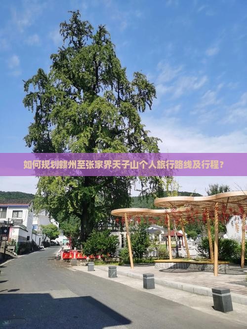 如何规划赣州至张家界天子山个人旅行路线及行程？