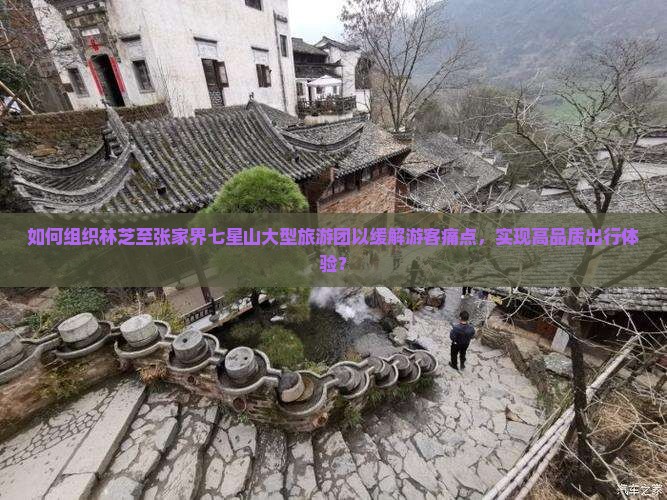 如何组织林芝至张家界七星山大型旅游团以缓解游客痛点，实现高品质出行体验？