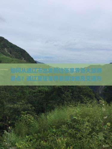 如何从通辽市出发前往张家界各大旅游景点？通辽至张家界旅游攻略及交通方式解析