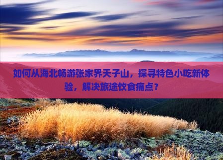 如何从海北畅游张家界天子山，探寻特色小吃新体验，解决旅途饮食痛点？