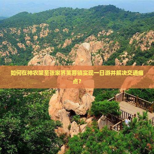 如何在神农架至张家界芙蓉镇实现一日游并解决交通痛点？