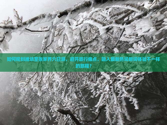 如何规划潍坊至张家界六日游，避开旅行痛点，融入最新热词新词体验不一样的旅程？