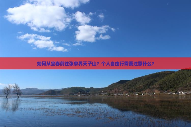 如何从宜春前往张家界天子山？个人自由行需要注意什么？