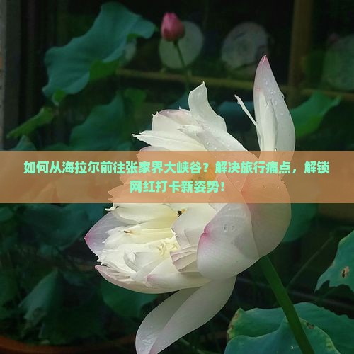 如何从海拉尔前往张家界大峡谷？解决旅行痛点，解锁网红打卡新姿势！