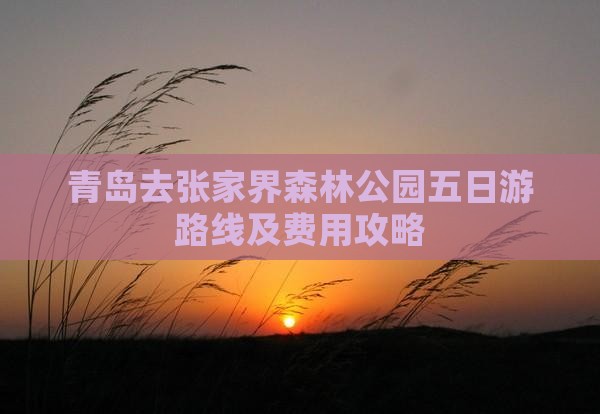 青岛去张家界森林公园五日游路线及费用攻略