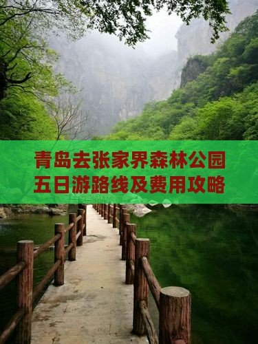 青岛去张家界森林公园五日游路线及费用攻略