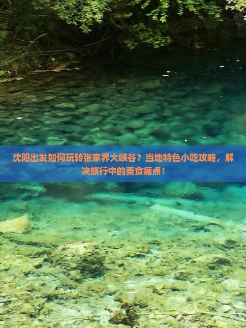 沈阳出发如何玩转张家界大峡谷？当地特色小吃攻略，解决旅行中的美食痛点！