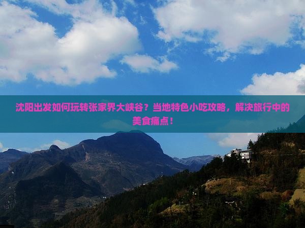沈阳出发如何玩转张家界大峡谷？当地特色小吃攻略，解决旅行中的美食痛点！