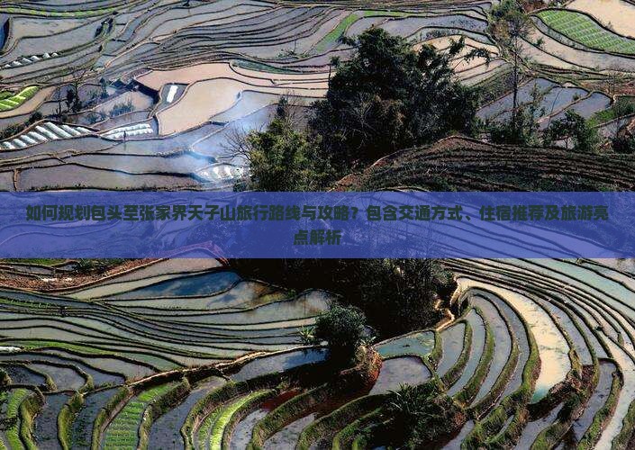 如何规划包头至张家界天子山旅行路线与攻略？包含交通方式、住宿推荐及旅游亮点解析