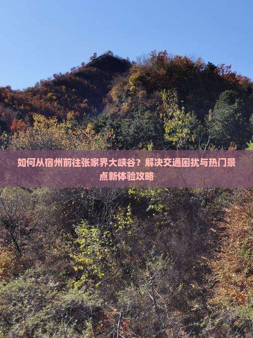 如何从宿州前往张家界大峡谷？解决交通困扰与热门景点新体验攻略