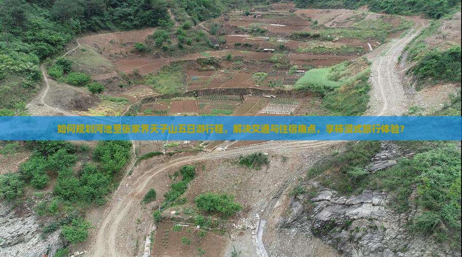 如何规划河池至张家界天子山五日游行程，解决交通与住宿痛点，享柿浸式旅行体验？
