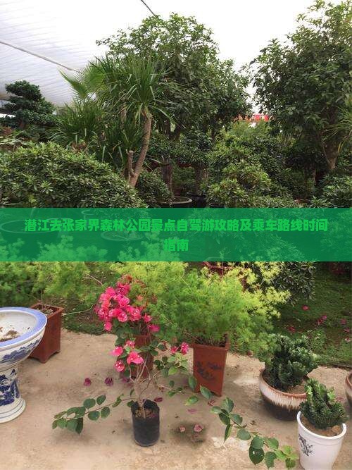 潜江去张家界森林公园景点自驾游攻略及乘车路线时间指南