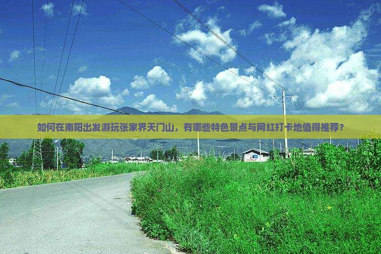 如何在南阳出发游玩张家界天门山，有哪些特色景点与网红打卡地值得推荐？