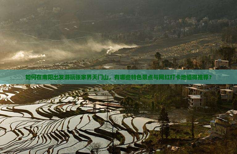 如何在南阳出发游玩张家界天门山，有哪些特色景点与网红打卡地值得推荐？