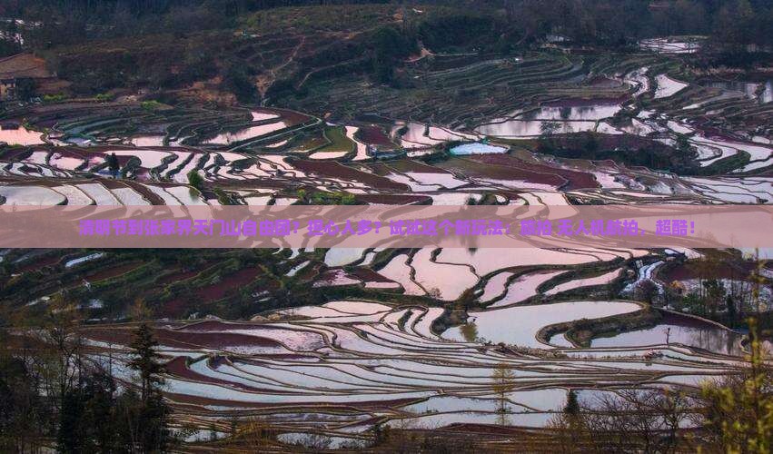 清明节到张家界天门山自由团？担心人多？试试这个新玩法：旅拍+无人机航拍，超酷！