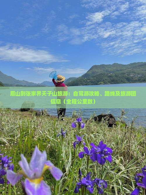 眉山到张家界天子山旅游：自驾游攻略、路线及旅游团信息（全程公里数）