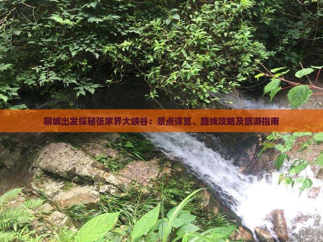 聊城出发探秘张家界大峡谷：景点详览、路线攻略及旅游指南