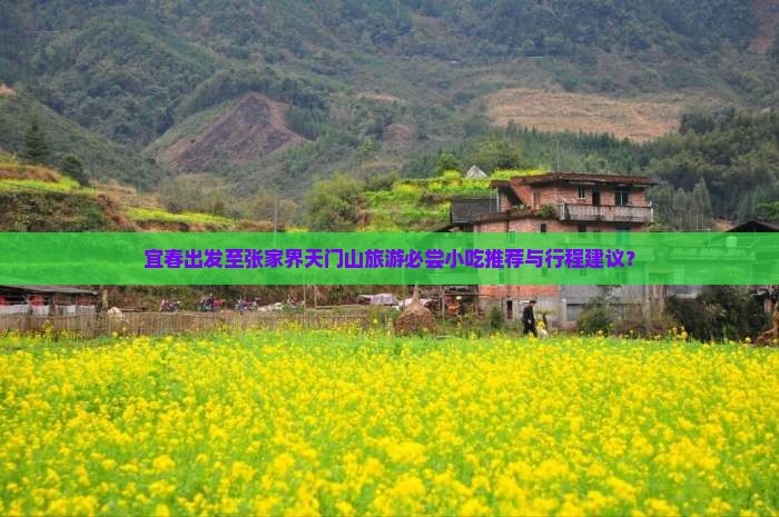 宜春出发至张家界天门山旅游必尝小吃推荐与行程建议？