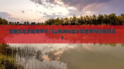 宜春出发至张家界天门山旅游必尝小吃推荐与行程建议？