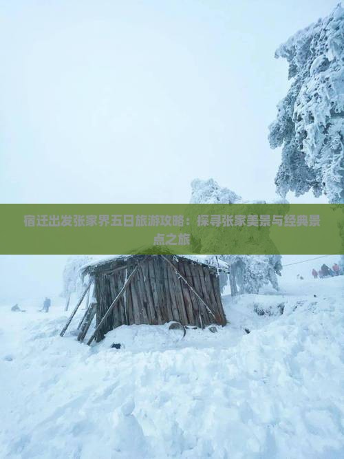宿迁出发张家界五日旅游攻略：探寻张家美景与经典景点之旅