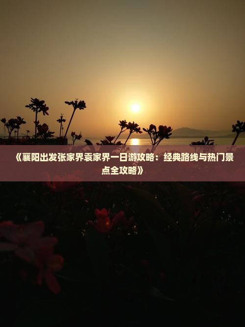 《襄阳出发张家界袁家界一日游攻略：经典路线与热门景点全攻略》