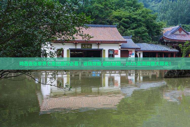 鸡西去张家界七星山旅行社