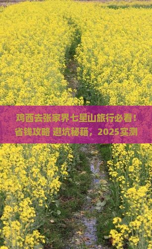鸡西去张家界七星山旅行社