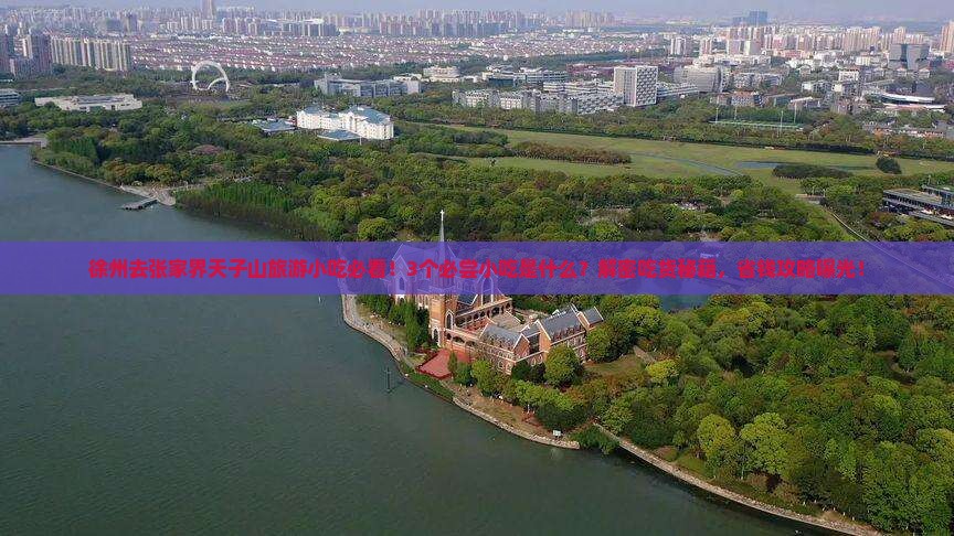 徐州去张家界天子山旅游小吃